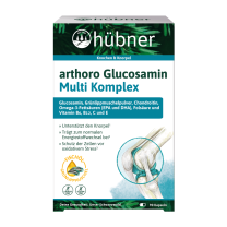 Hübner Arthoro basis plus 90g